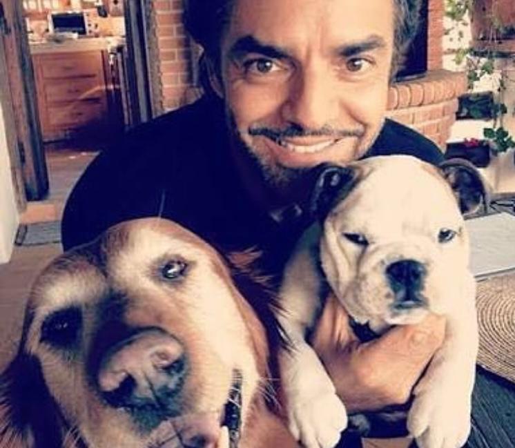 “Tú ayuda a quien más quieras”: Eugenio Derbez reacciona a críticas por ayudar a perros