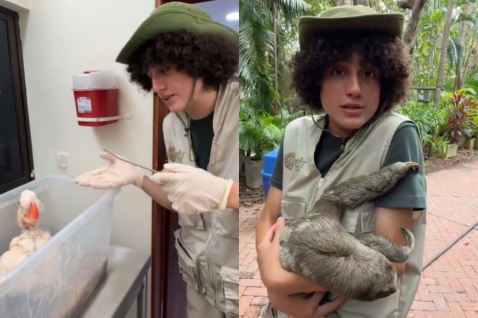 (Video) “Nunca se les ocurra comprar un animal silvestre”: La Granja del Borrego