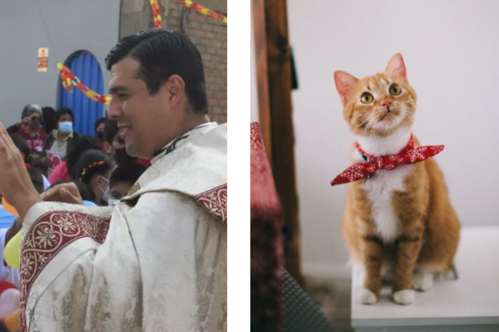Sacerdote reprendió a personas que sienten un amor desmedido por sus mascotas