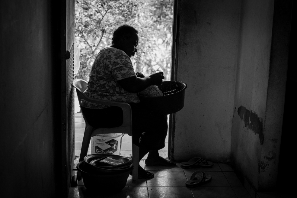 Puertas y ventanas.