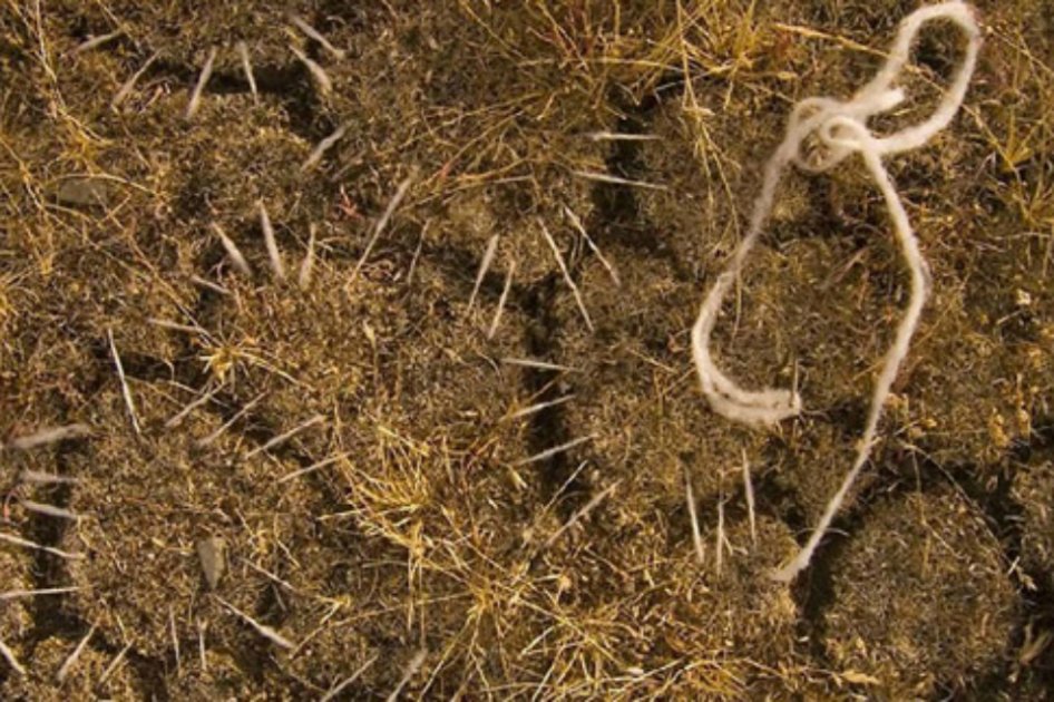 Artistas españoles ‘cosen’ la tierra para generar conciencia sobre cambio climático