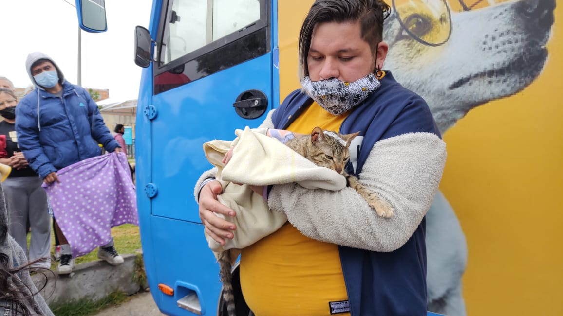 Jornadas de esterilización gratis para mascotas en Bogotá: así puede inscribirse