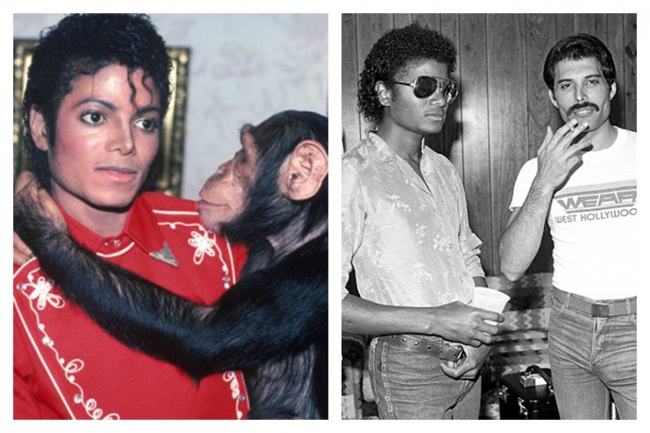 Michael Jackson con Bubbles y Freddie Mercury.