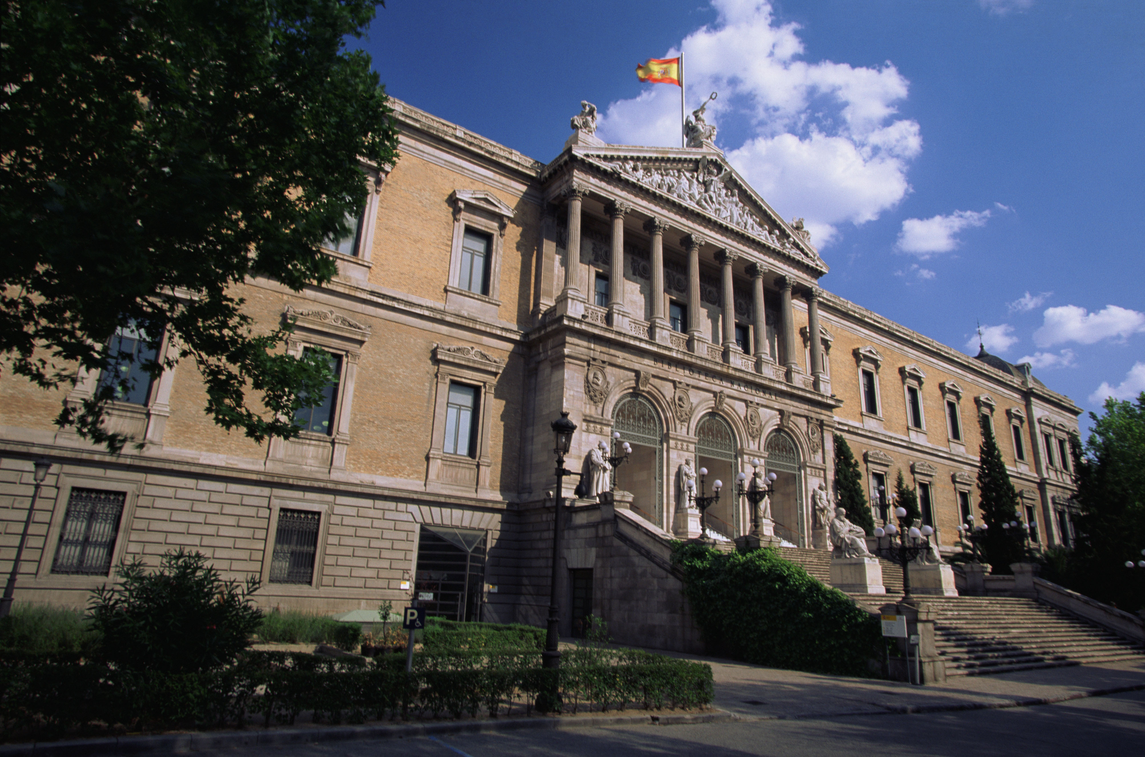 El espejo memético
