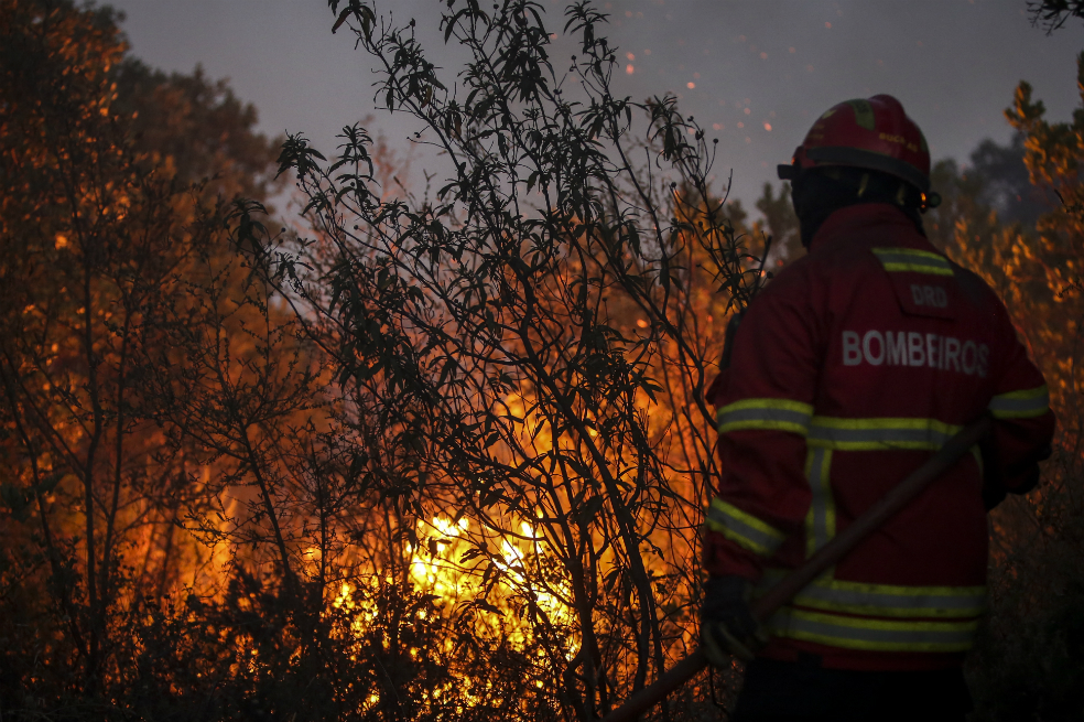 El calentamiento global, ¿responsable de los incendios forestales?