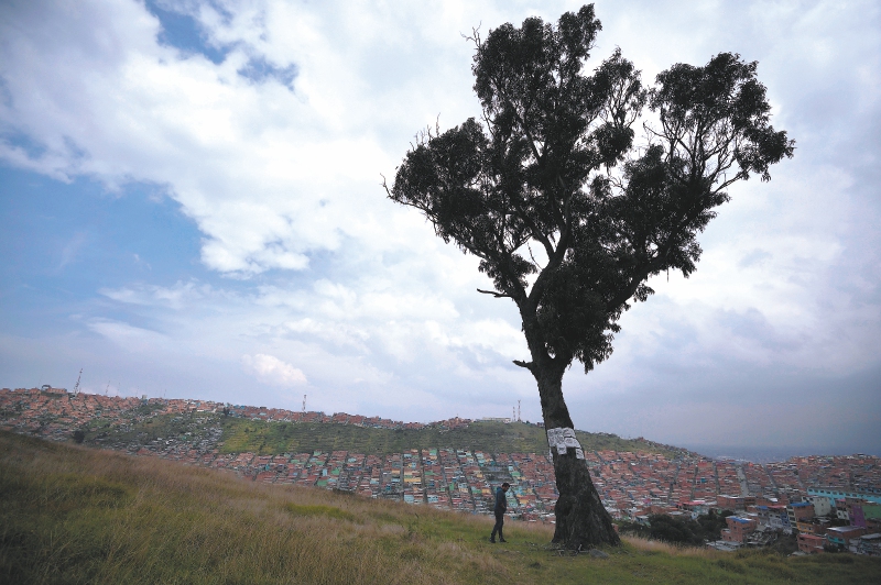 La Azotea: la disputa por un terreno en el sur de Bogotá con presuntos tierreros