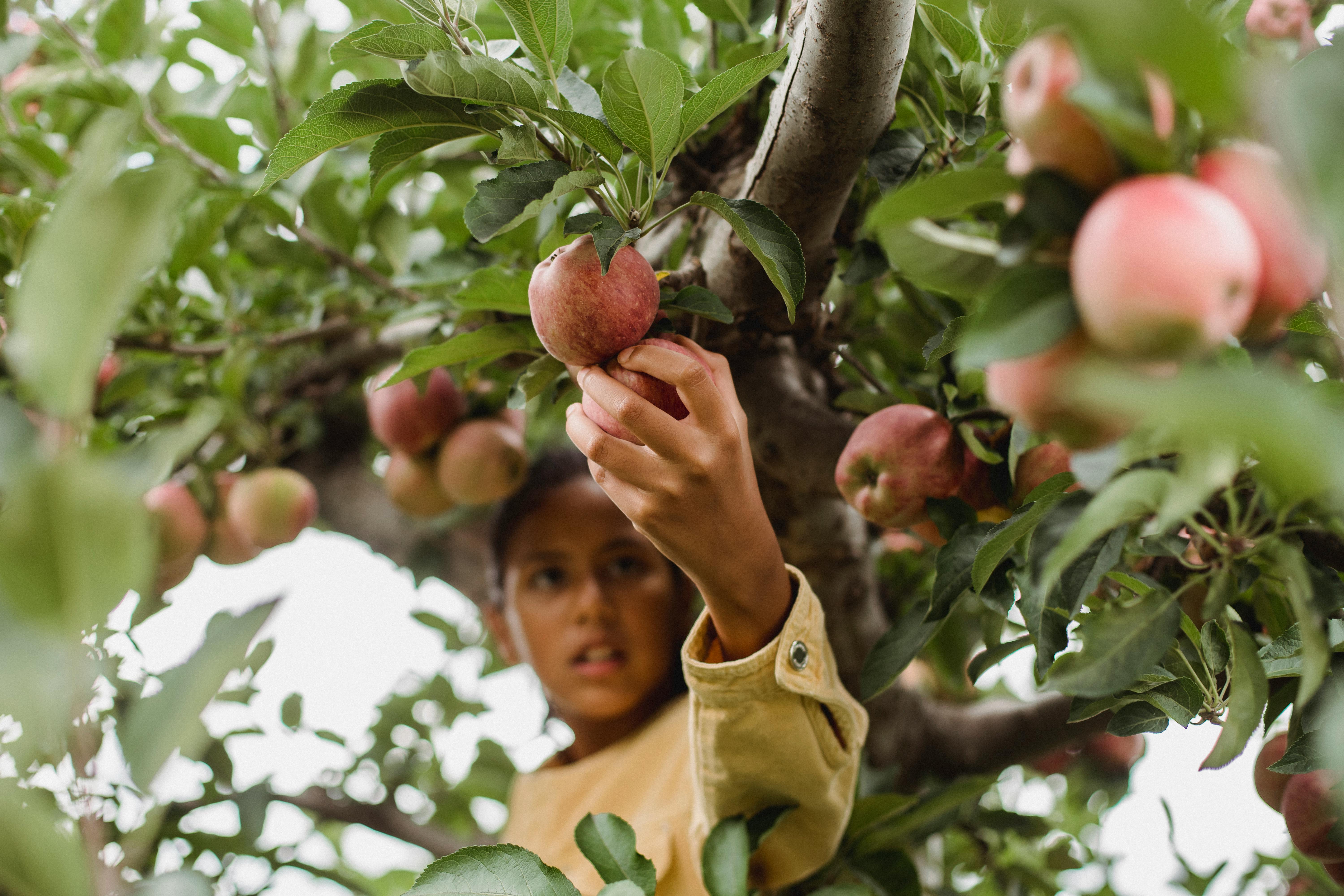 Lanzan el “Colombia Agrifood Innovation Hub” ¿De qué se trata?