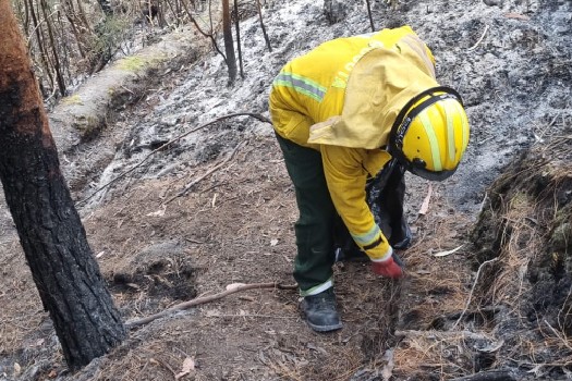 Así se ve el cerro de la quebrada La Vieja tras la liquidación del incendio