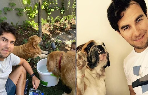 Estos son los perritos que ayudan a Checo Pérez a sobrellevar la presión de su carrera