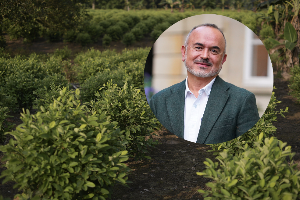 Colombia evalúa proponer a EE. UU. nuevo modelo de medición de cultivos de uso ilícito