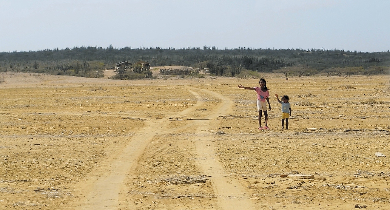 Magistrado responderá en juicio por omisión en la protección de la niñez Wayúu