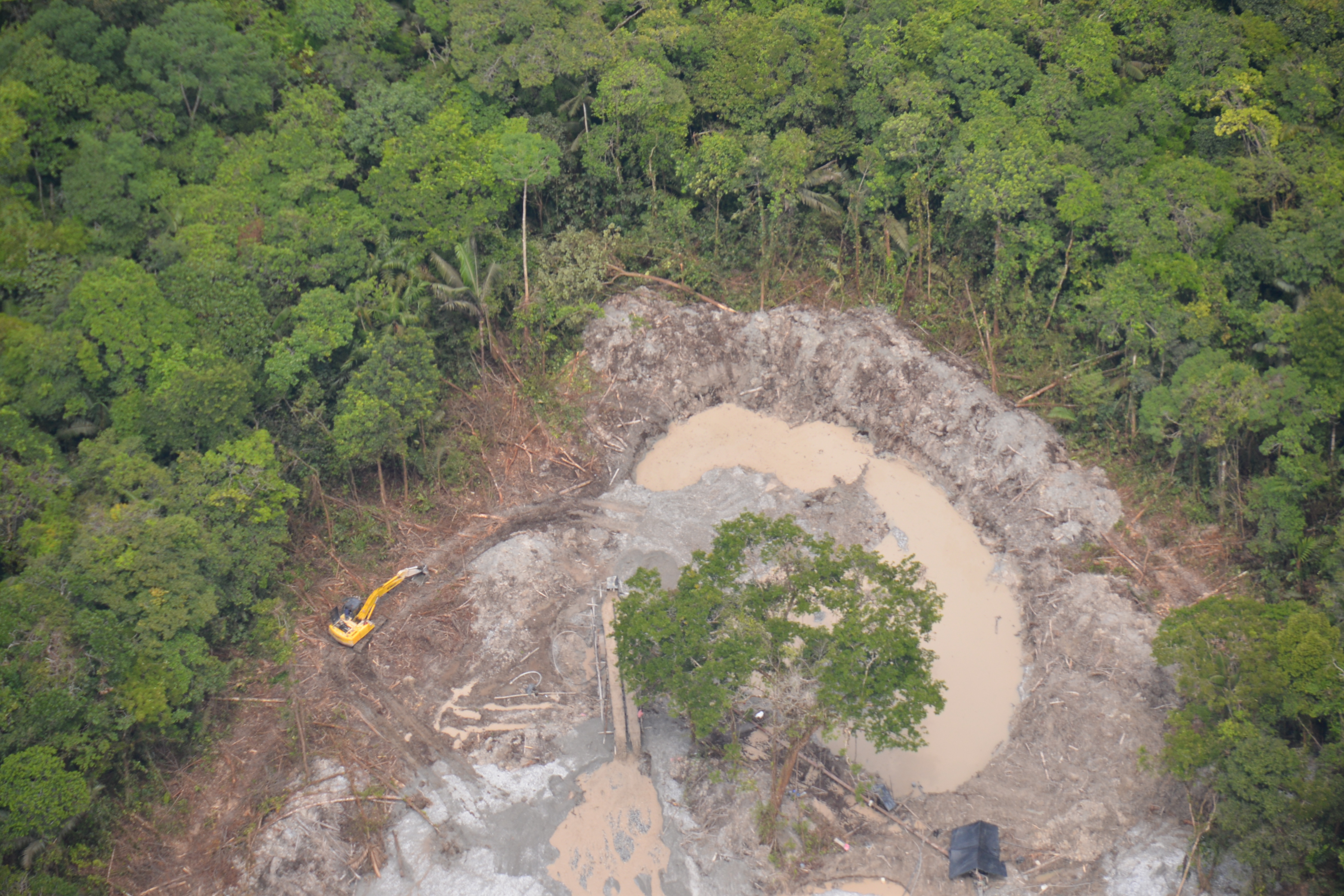 La región más crítica en cuanto a la pérdida de biodiversidad es América Latina y el Caribe.