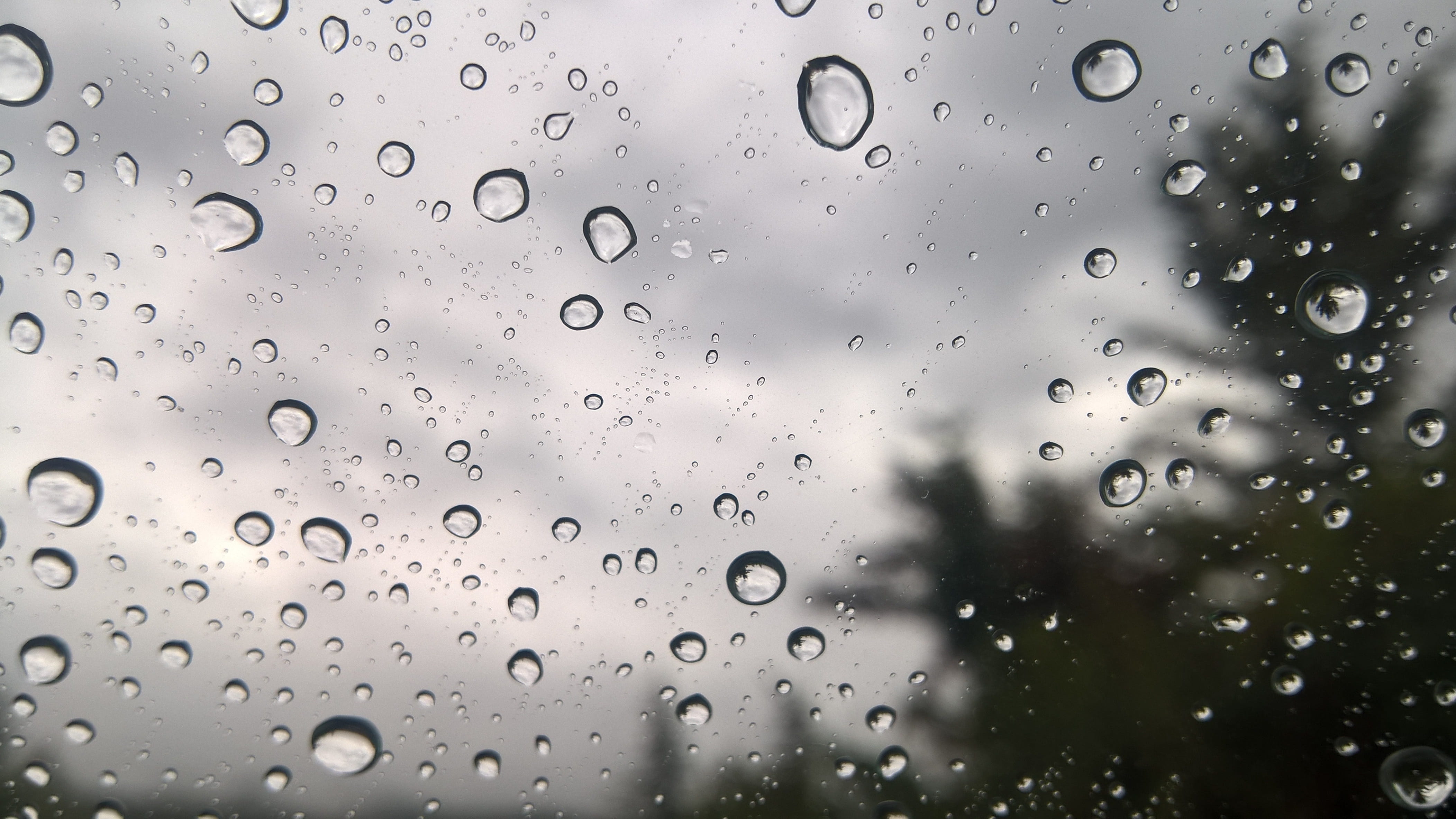 Tormenta tropical Franklin generará lluvias intensas en gran parte del país