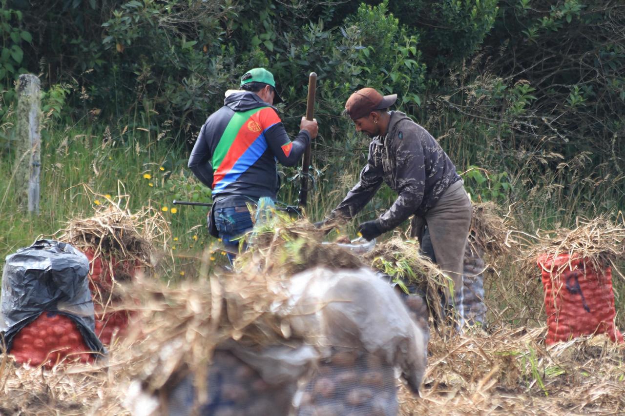 Fenómeno de El Niño: lo que debe saber sobre incentivo del Gobierno para preparar al campo
