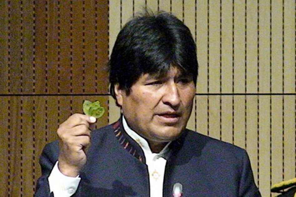 ONU acepta mascado de coca en Bolivia