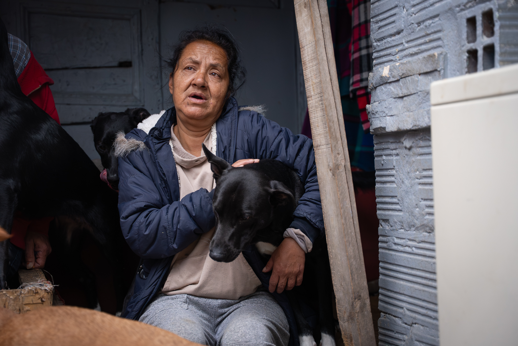 Una vendedora informal transformó su casa en un refugio para animales en Bogotá