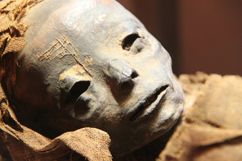 La misión arqueológica empezó a excavar en el cementerio en 2017 / Pixabay