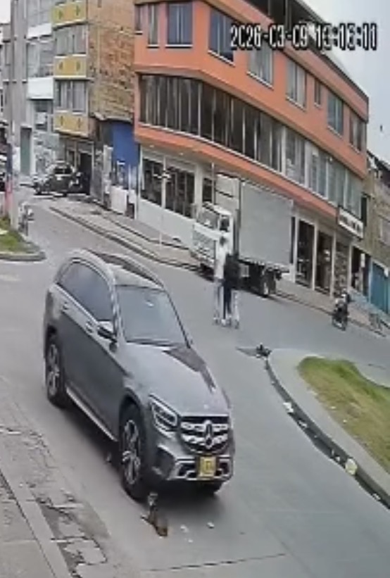 Buscan a conductor de camioneta Mercedes que mató a perro en Kennedy y huyó de la escena