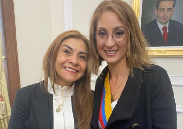 ¿Qué dijo la U. Externado sobre el plagio en la tesis de Jennifer Arias?