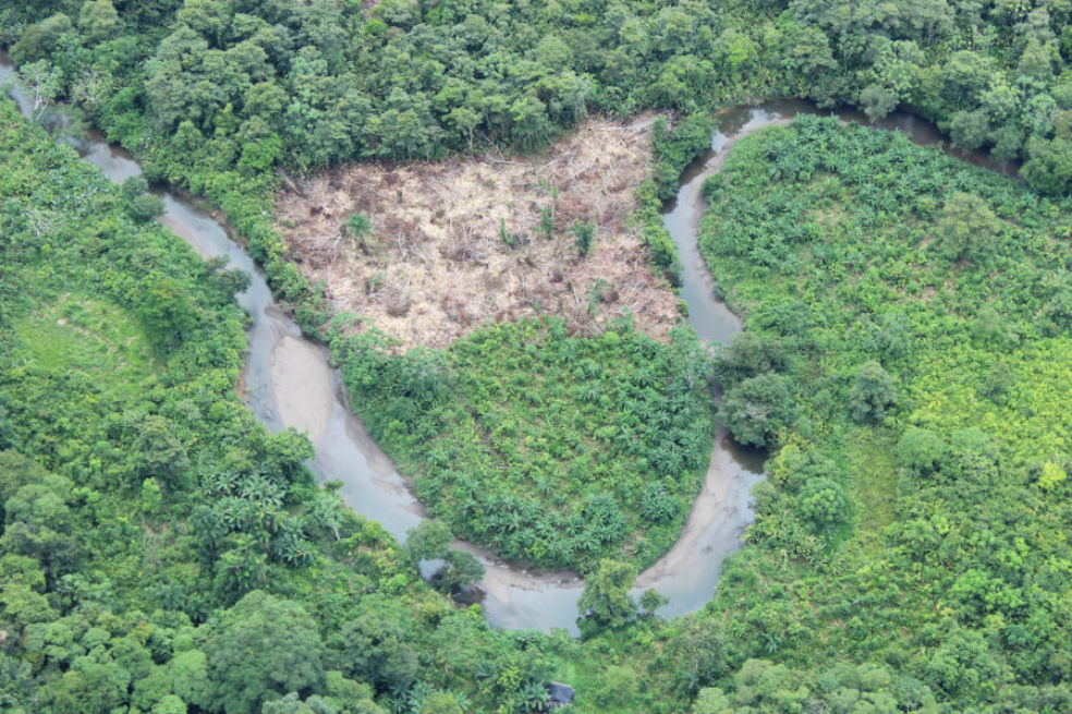 Chocó y Parques Naturales, los más deforestados en el último semestre