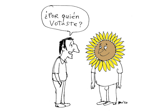 ¿Por quién votaste?