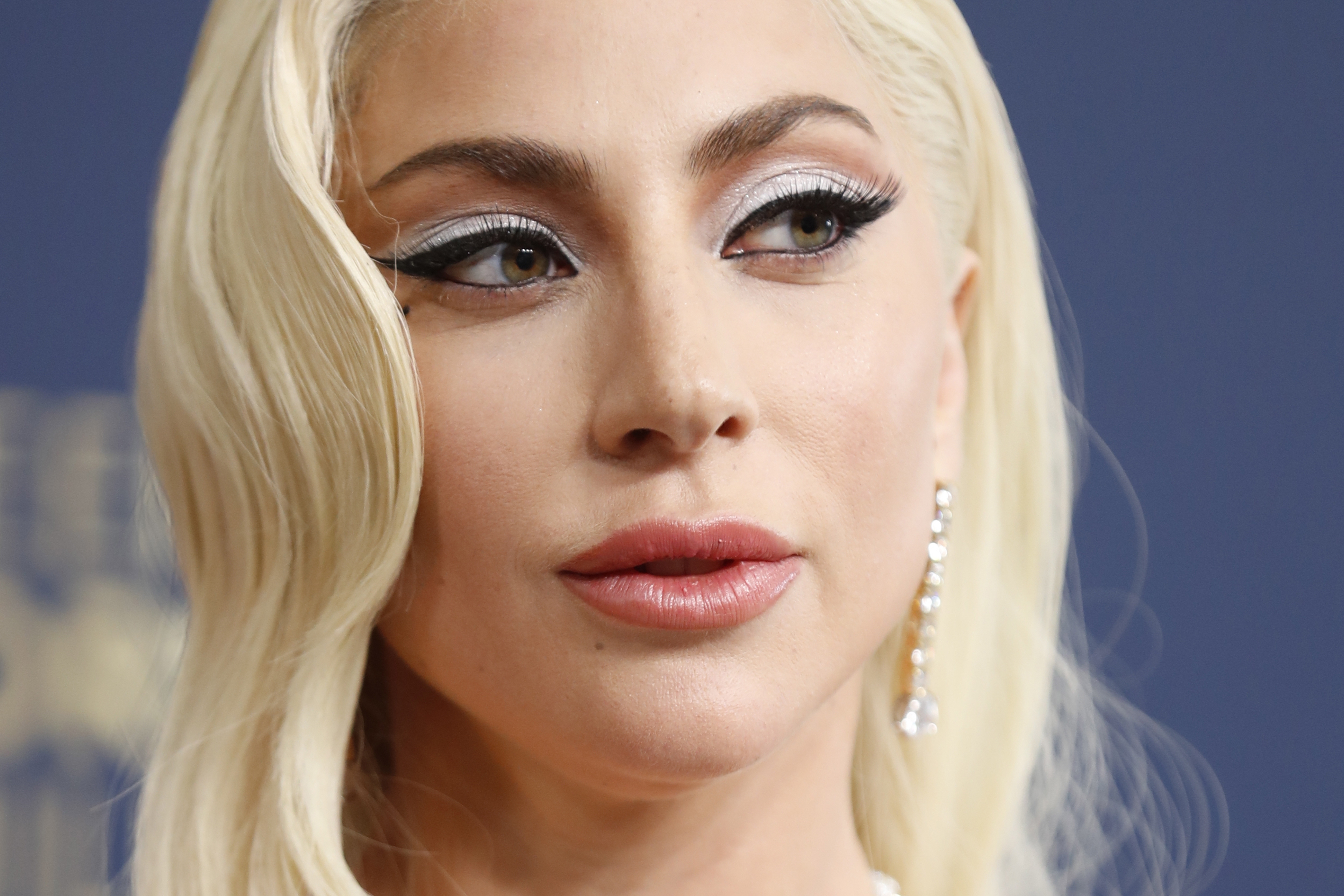 Hombre intentó ingresar a la casa de Lady Gaga para darle flores y fue detenido