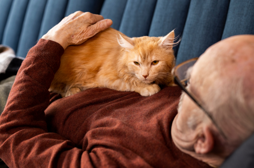 Anciano ofrece toda su fortuna a quien se comprometa a cuidar a su gata Xianba