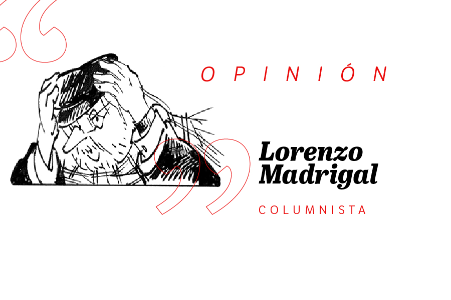 Participación en política