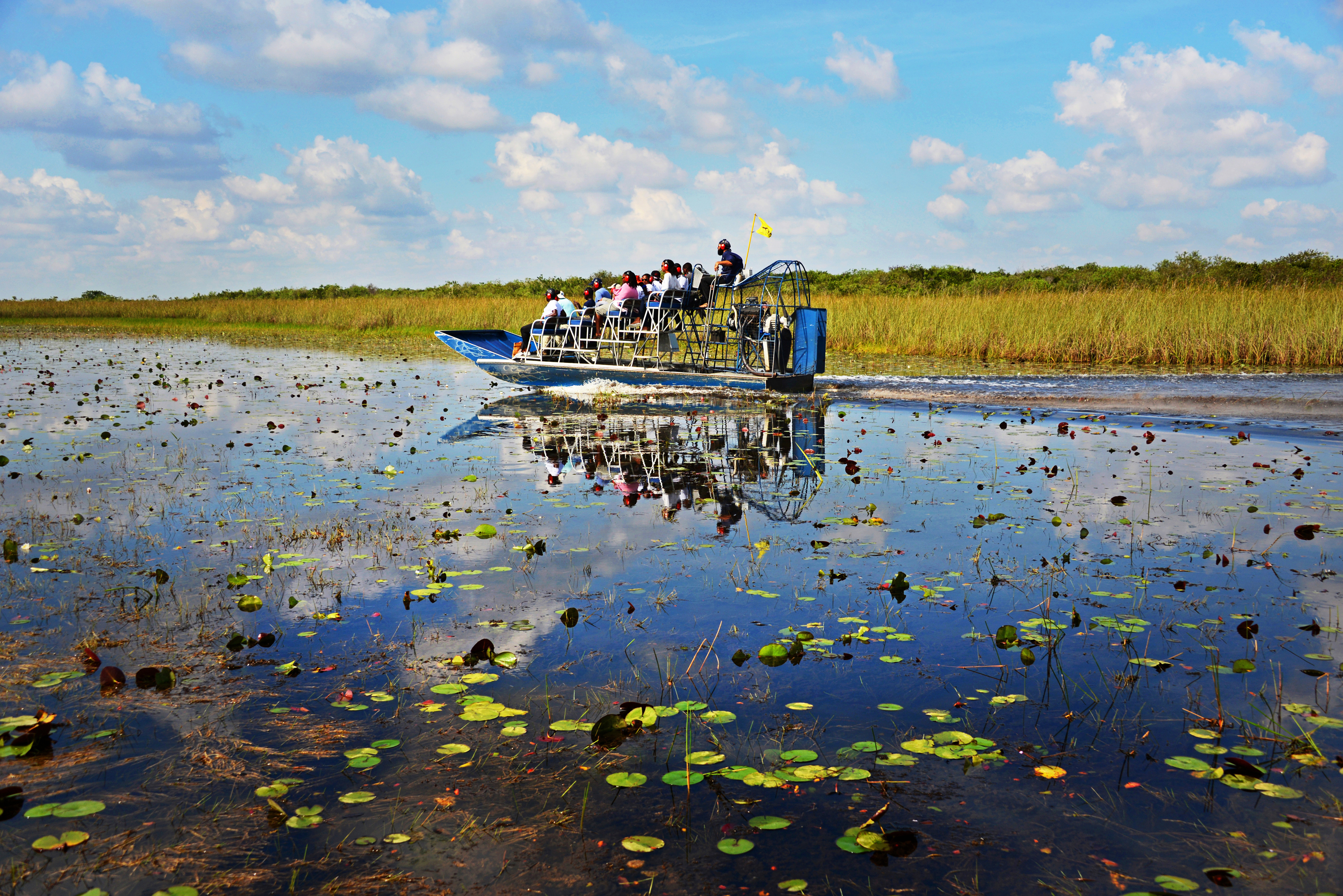 6 experiencias únicas y poco concurridas en Florida, EE.UU.