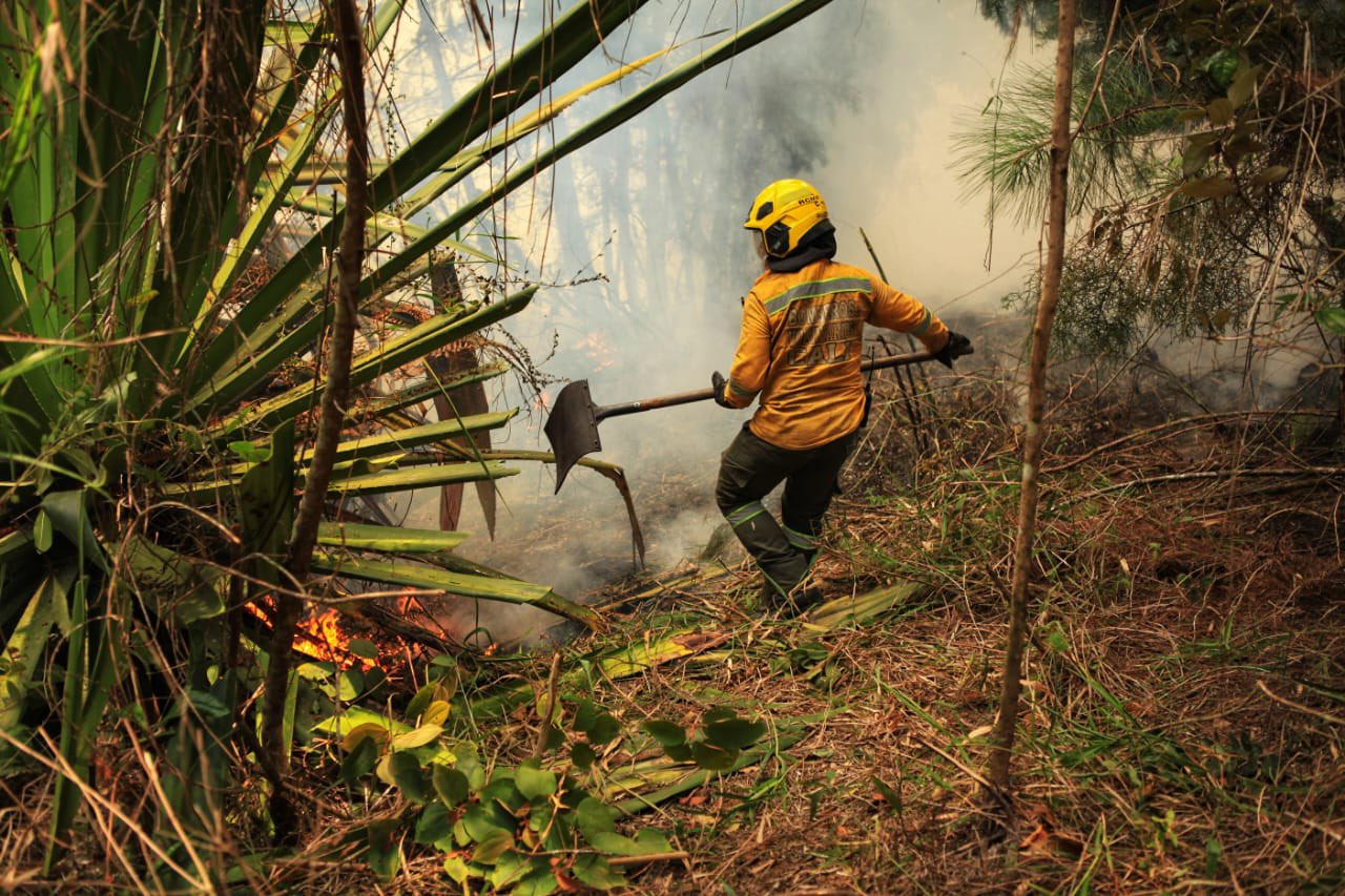 Incendio en cerros de Cali completa más de 40 horas y afecta más de 200 hectáreas