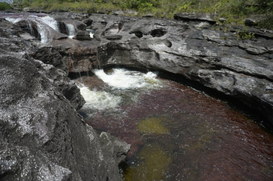 El futuro de Caño Cristales