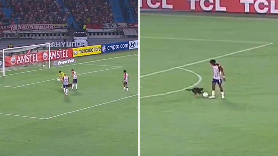 Un perro entra al terreno de juego entre Junior y Universitario de la Copa Libertadores.
