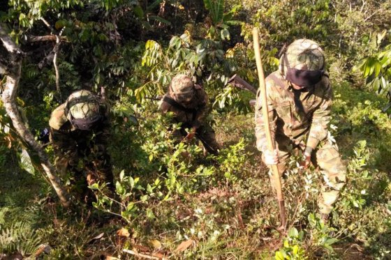 Aumentó «notoriamente» envío de cocaína desde Colombia
