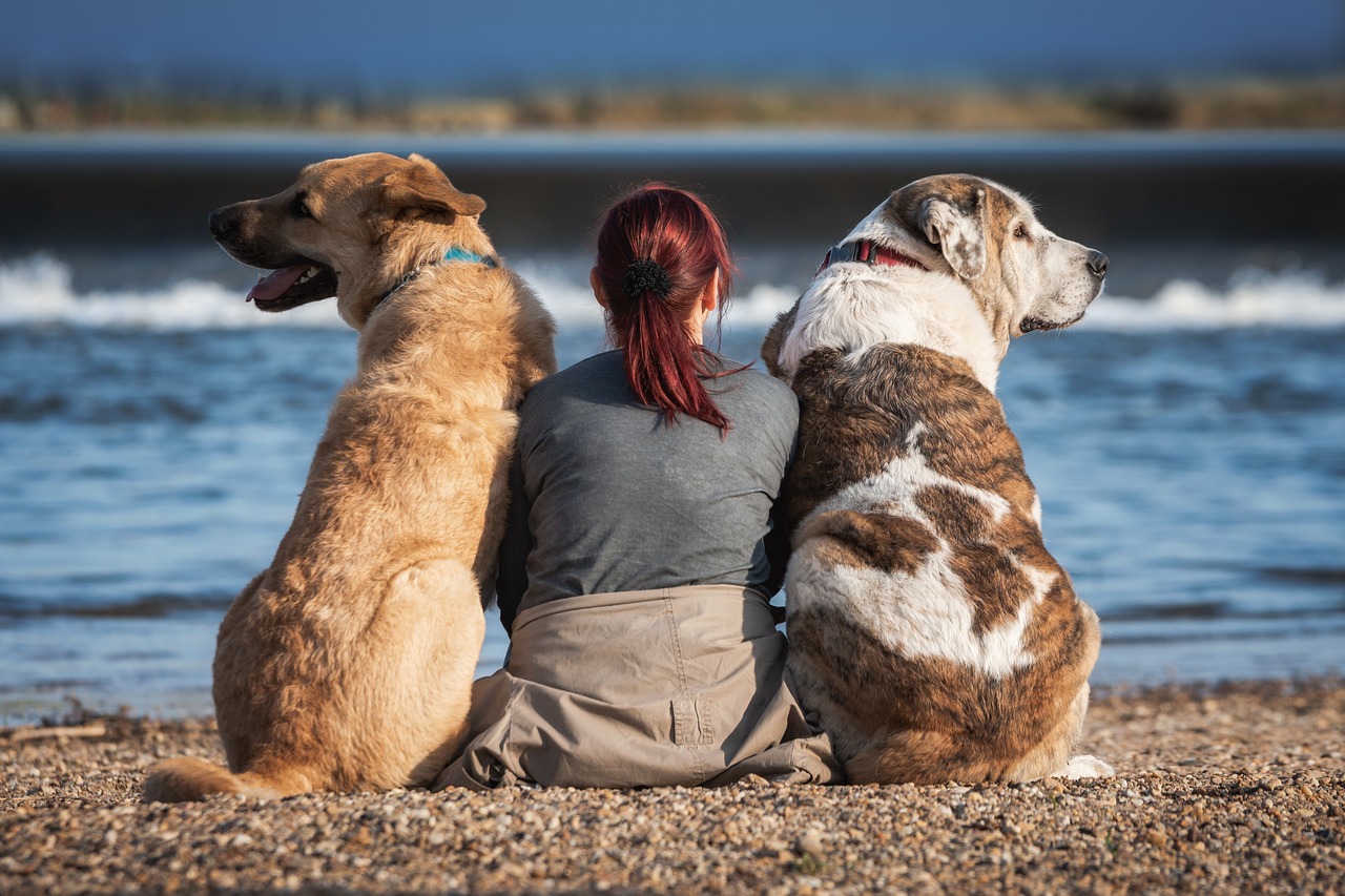 Día de la Mujer 2024: historias de mujeres que luchan por la protección de los animales