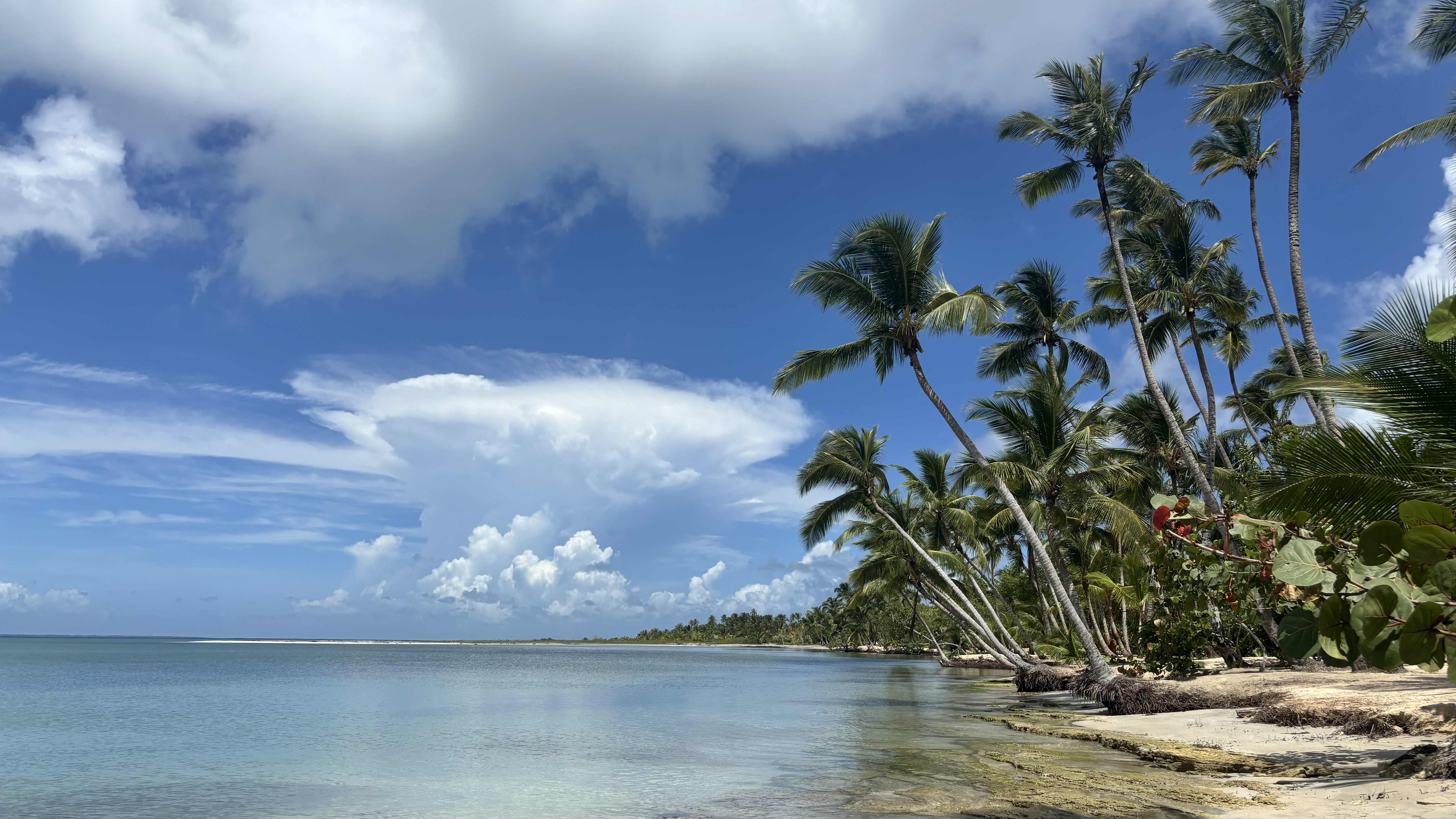 Así es Miches, República Dominicana: lujo, cultura taína y playas vírgenes