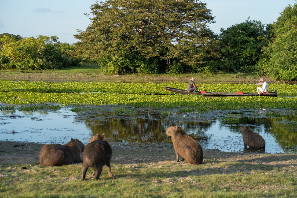 Empresas de 17 países conocerán el potencial en turismo de naturaleza de Colombia