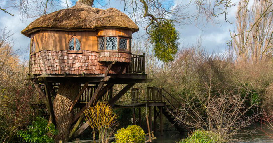 El fascinante mundo de las casas en el árbol
