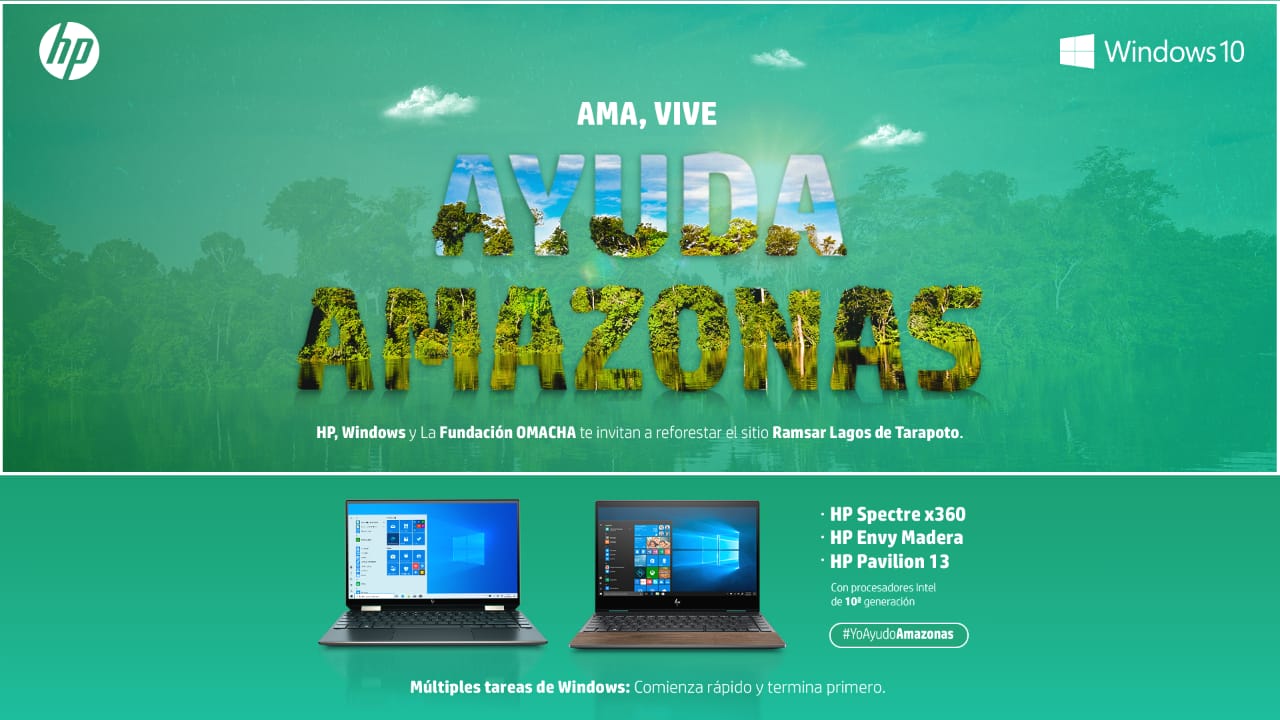 Así puedes ayudar a recuperar y fortalecer la Amazonia colombiana