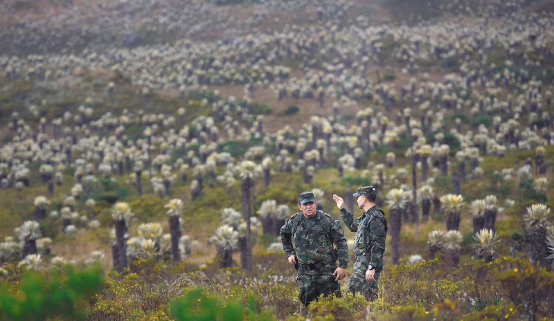 Cambios “ambientales” al Código de Policía preocupan a comunidades