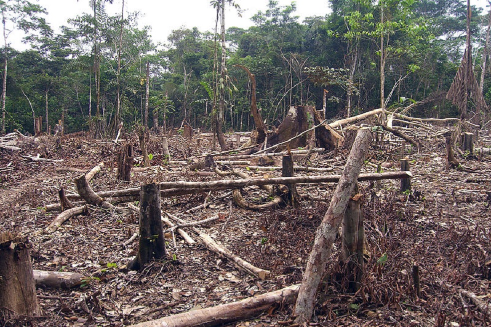Presupuesto ambiental para el 2018 podría reducirse más de la mitad