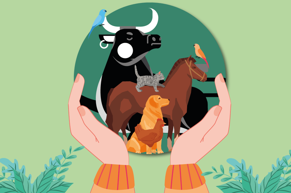 Un repaso por los proyectos de ley colombianos sobre los animales en 2023