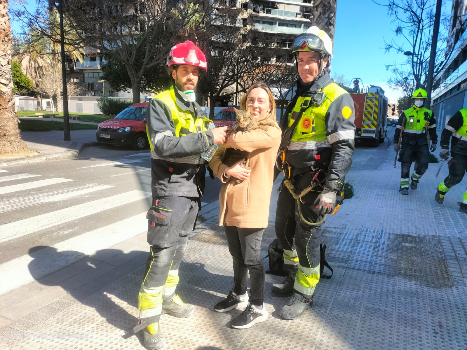 Video: Coco, el gato que apareció vivo ocho días después del incendio en Valencia