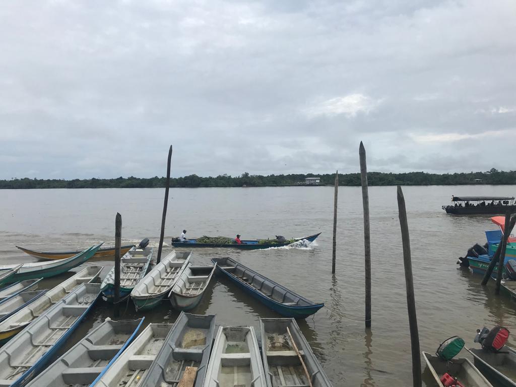 La resistencia del pueblo negro de la costa pacífica del Cauca