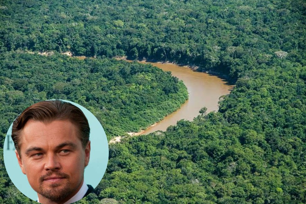 Parque Serranía de Manacacías: Leonardo DiCaprio felicitó a Colombia, ¿por qué?