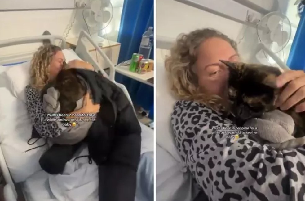 Mujer hospitalizada vive emotivo momento al reencontrarse con su gata