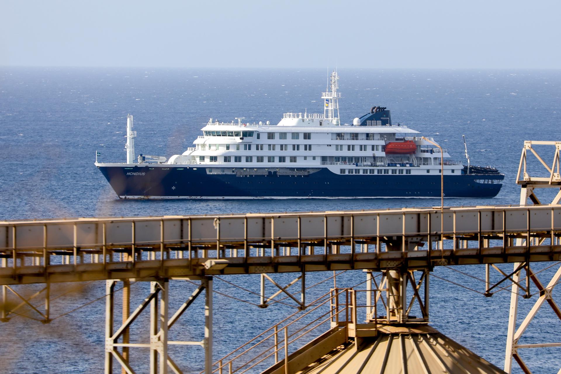 Tras brote en un crucero, esto es lo que debe saber sobre el hantavirus