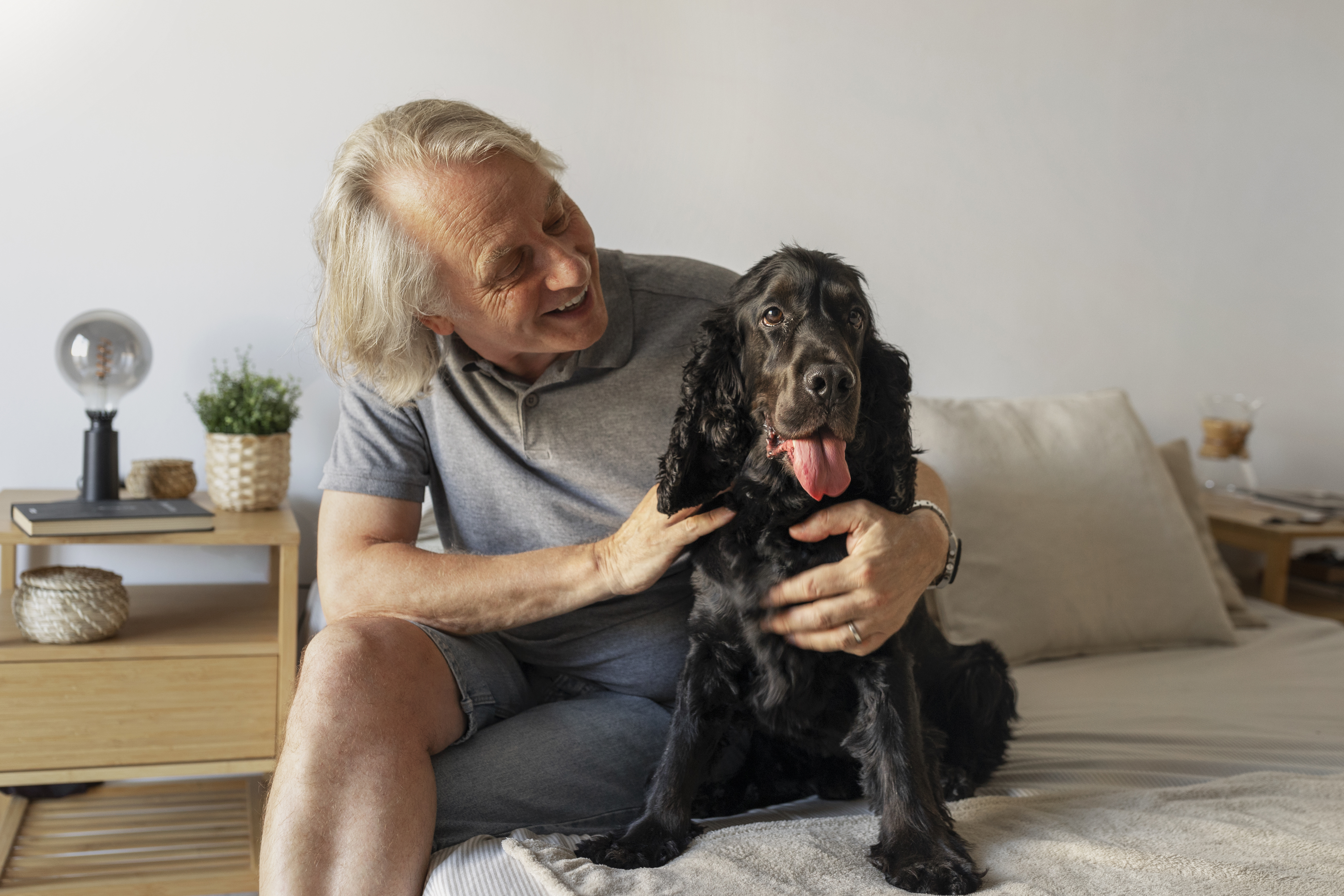 ¿Cómo calcular la edad humana de su perro?