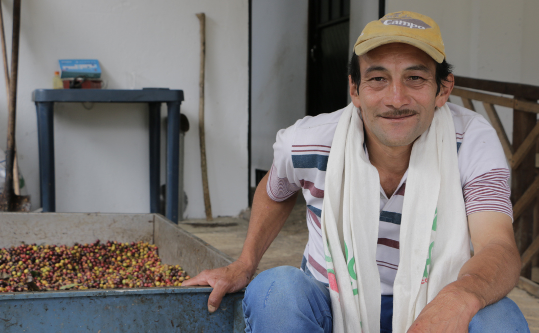 Los guayatunos que quieren ser especialistas en café