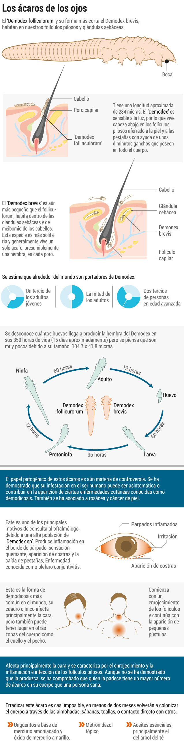 Acaros de los ojosJ Bejarano* Periodistas de Uninorte. Este artículo es una versión editada del original publicado en la revista Intellecta.