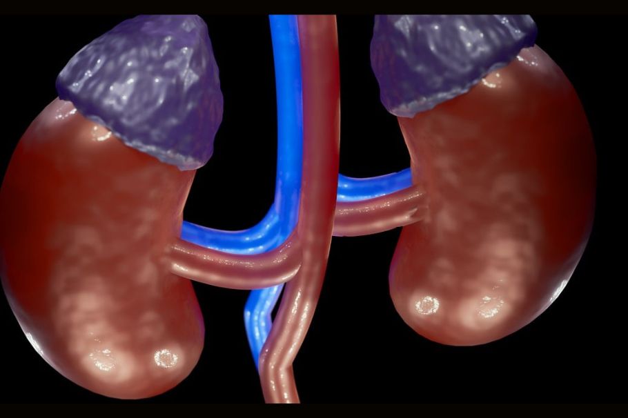 Daño renal